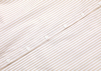 Stripe™ | Long Sleeve Shirt Dress